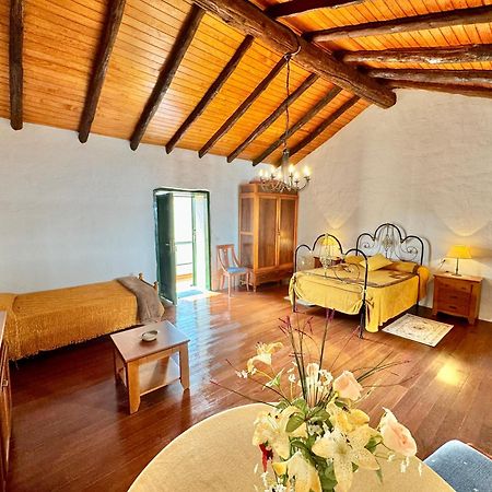 Guanche 'Casa Rural Canaria' 산미겔데아보나 외부 사진